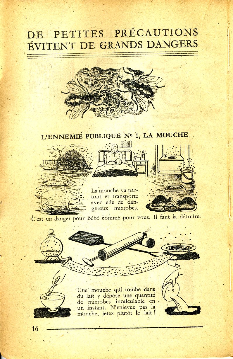 natalité française, page 16