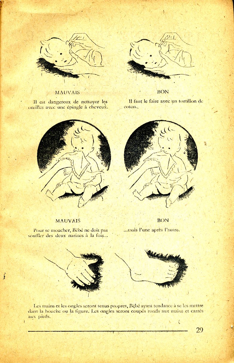 natalité française, page 29