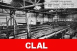 clal