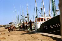 Années 1970, thonier à quai à Port Joinville, Marcel Groisard